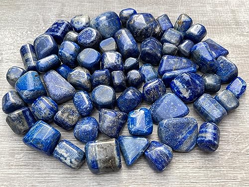 Image of GAF TREASURES 1 /2 LB Lapis Lazuli Tumbled Stones, Polished Lapis Lazuli Gemstone, Lapis Lazuli Healing Crystals (Lapis Lazuli)
