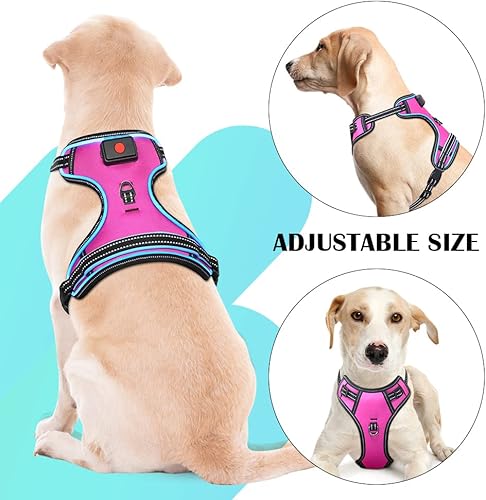 Miniatura 3 de Arnés con luces LED para perro, arnés con luces LED recargable para perro, chaleco que brilla en la oscuridad, chaleco para mascotas con luces para