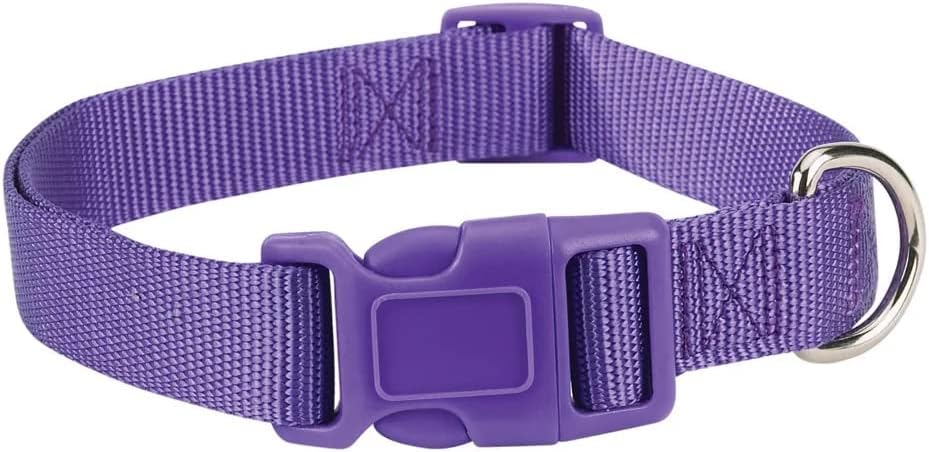 Dog Collar Bulk Packs 50 Purple Nylon Shelter Rescue Vet 4 Adjustable Sizes (6 to 10 Inch)