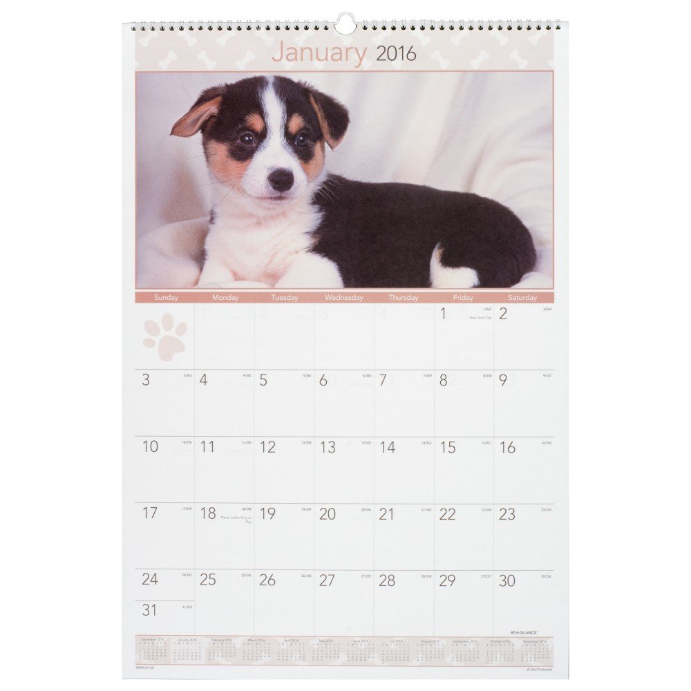 AT-A-GLANCE calendario de pared mensual 2016, cachorros, 15 – 1/2 x 22 – 3/4 pulgadas (dmw167 – 28) by de un vistazo