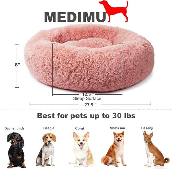 The 7 Best nononfish Dog Beds of 2024 [Verified] Cherry Picks