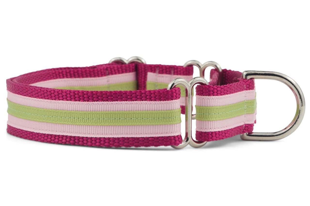 If It Barks 1" Layered Ribbon Martingale Dog Collar, Large, Sherbert