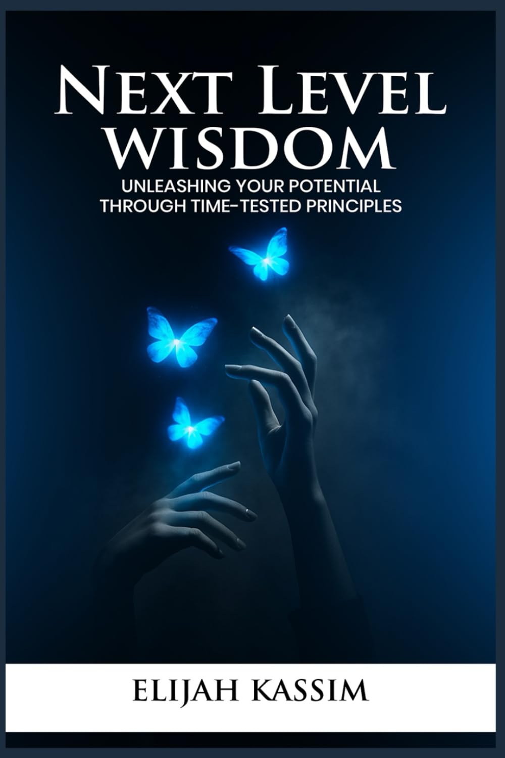 NEXT LEVEL WISDOM: UNLEASHING YOUR POTENTIAL THROUGH TIME-TESTED PRINCIPLES