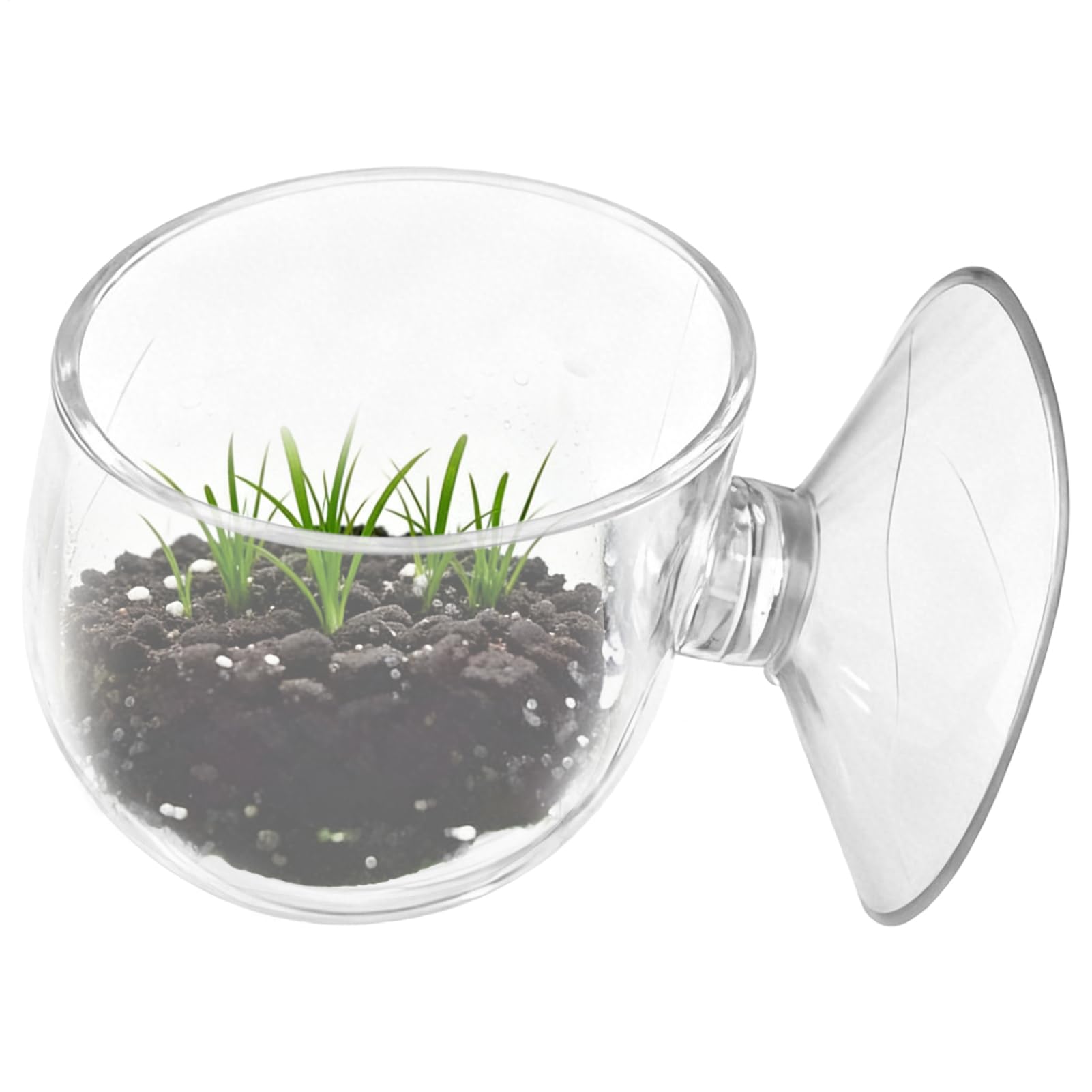 Fish Feeding Dish - Floating Tray With Suction Cup, Durable Aquarium Food Cups | Easy Feeding For Tank Reptiles Tortoises Geckos Bearded Dragons Betta Turtles Shrimp Crabs Frogs Snakes Spiders