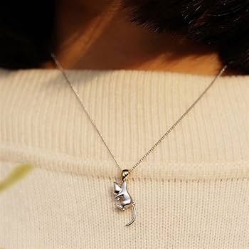 琥珀のネックレスに猫が描いている可愛いネックレス留め金はシルバー新品で非売品です Amazon.co.jp: KUNOVO ネックレス楽しい猫の形をしたネックレス