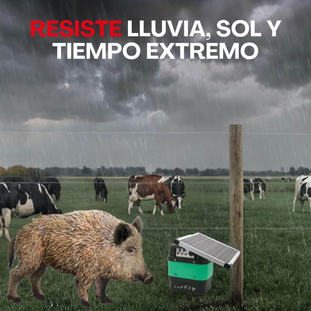 Eléctrico Solar Crepuscular Llampec Mod.50S – 6,3 J, 10.000 V y 75 km de Alcance – Especial Antijabalí con Sensor de Luz y Panel Solar 12V 20W Incluido – Batería 12V 60Ah no incluída