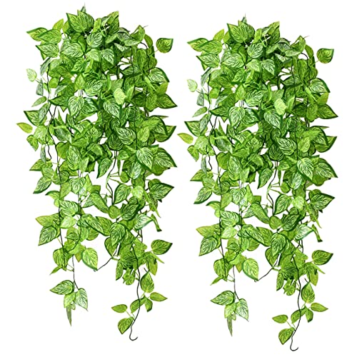 Top 10 Hanging Plants For Porch of 2022 Katynel