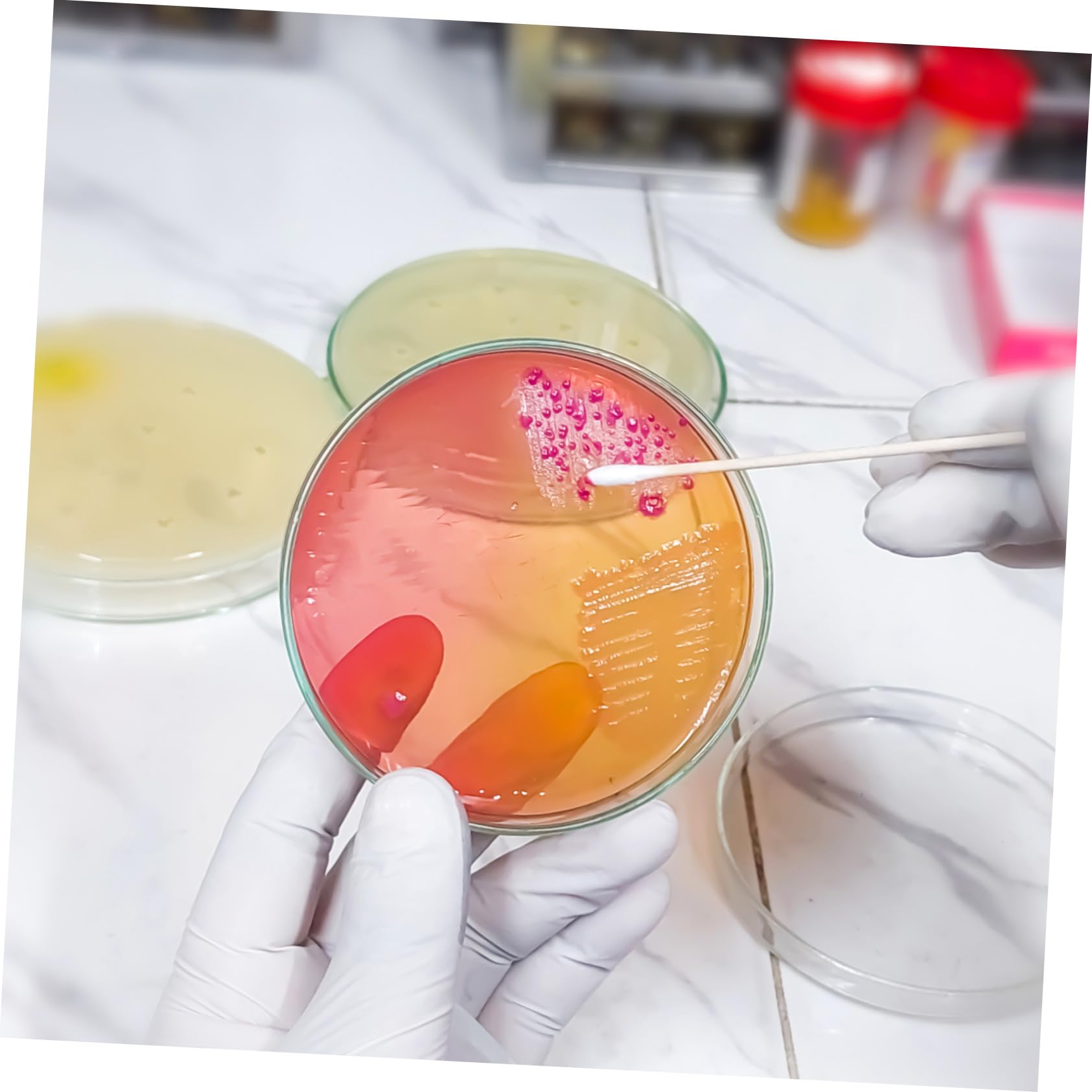 Vorgegossene Agarplatten 20 Stück für Wissenschaftliche Experimente | Laborbedarf im 7-cm Format, Einfache Handhabung, für Schule und Laboranwendung