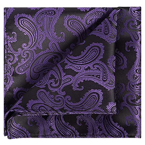 Image of KissTies Mens Paisley Tie And Pocket Square Necktie Sets