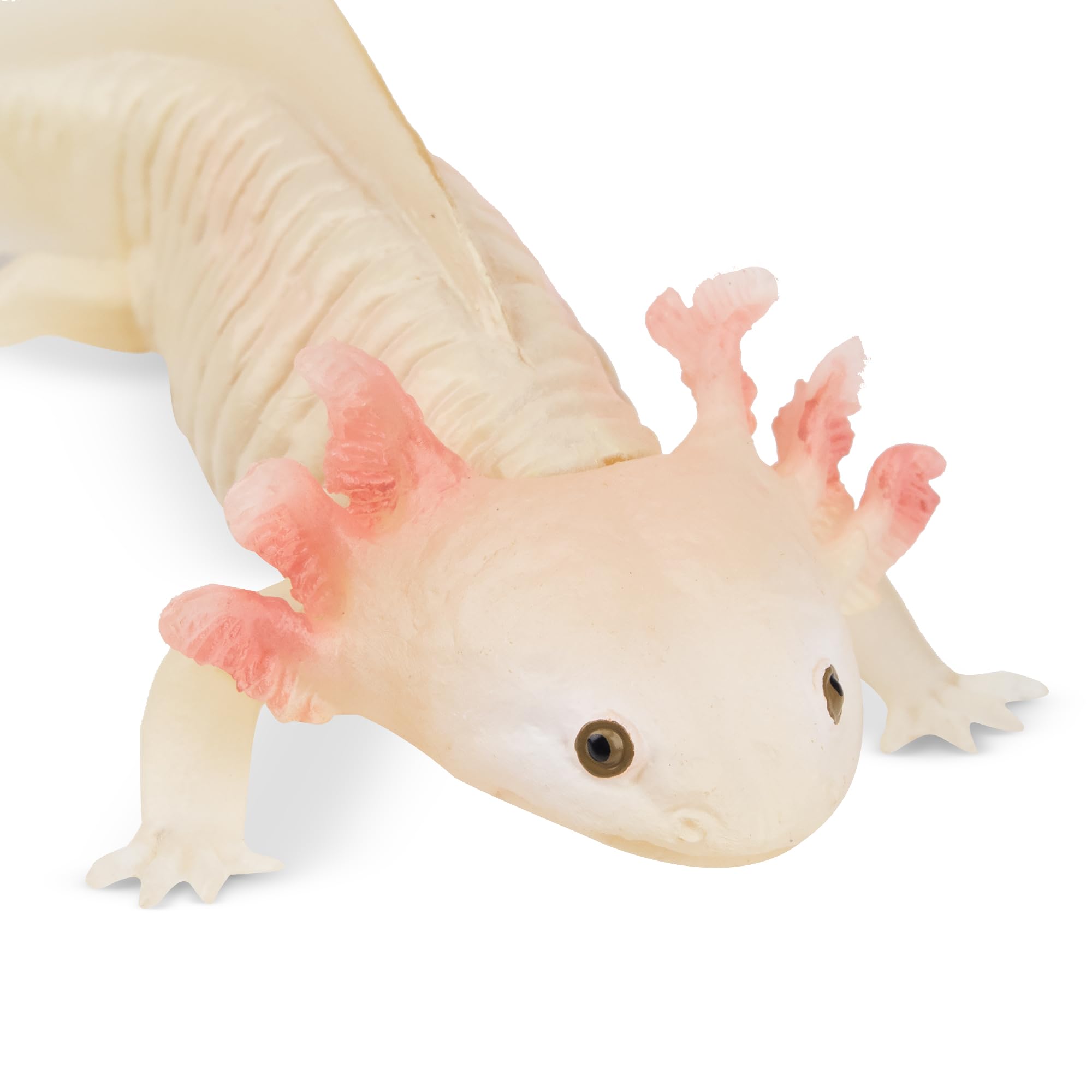 TOYMANY Salamandra figurki zwierząt, las, figurki zwierząt, 9,3 x 4,1 x 2,2