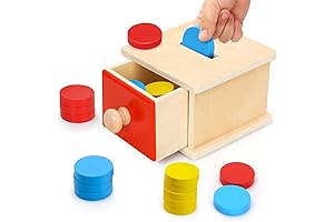 TOY Life Montessori Toys for Toddlers 1+ Year Old: Montessori Coin Box...