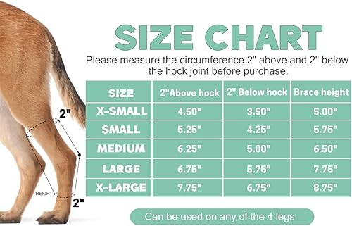 Miniatura 4 de Soporte de pierna de perro para articulación trasera de corvejón, envoltura de compresión de tobillo trasero con tiras de metal, fuerte soporte para