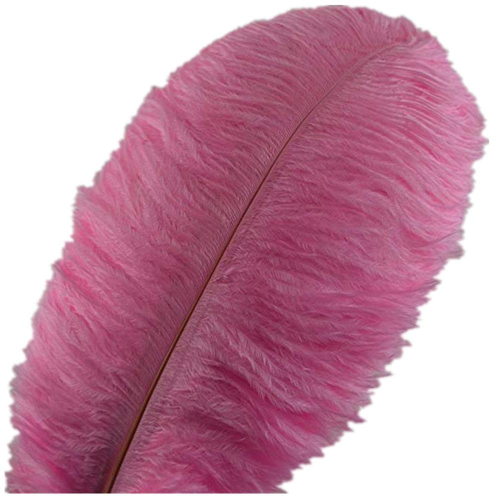 Voilalove 10pcs Natural Ostrich Feather Craft 12-14inch(30-35cm) Plume for Wedding Centerpieces Home Decoration (12-14inch,Pink)