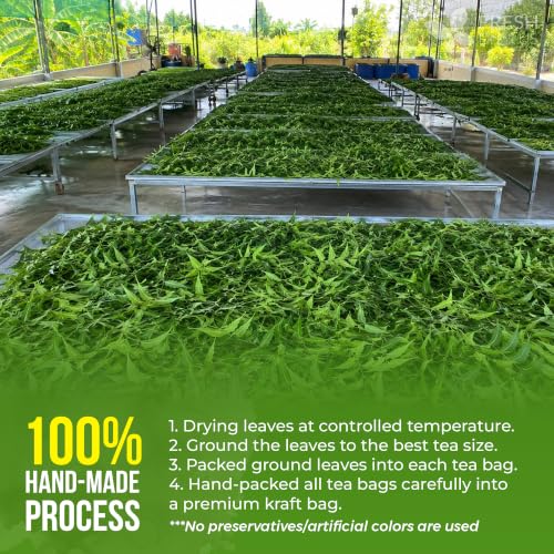 Image of FreshDrinkUS, Premium 33 Neem Leaf Tea Bags, 100% Natural and Pure from Neem Leaves. Herbal Tea. No Sugar, No Caffeine, No Gluten, Vegan.