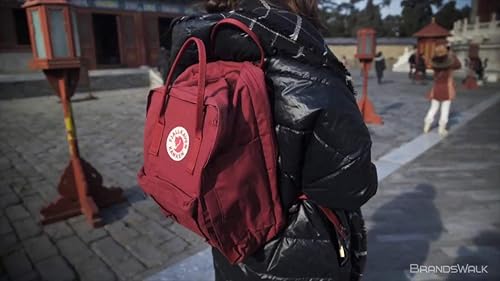 Vista 67 de Fjallraven Mochila Kanken Classic para el diario Azul cielo