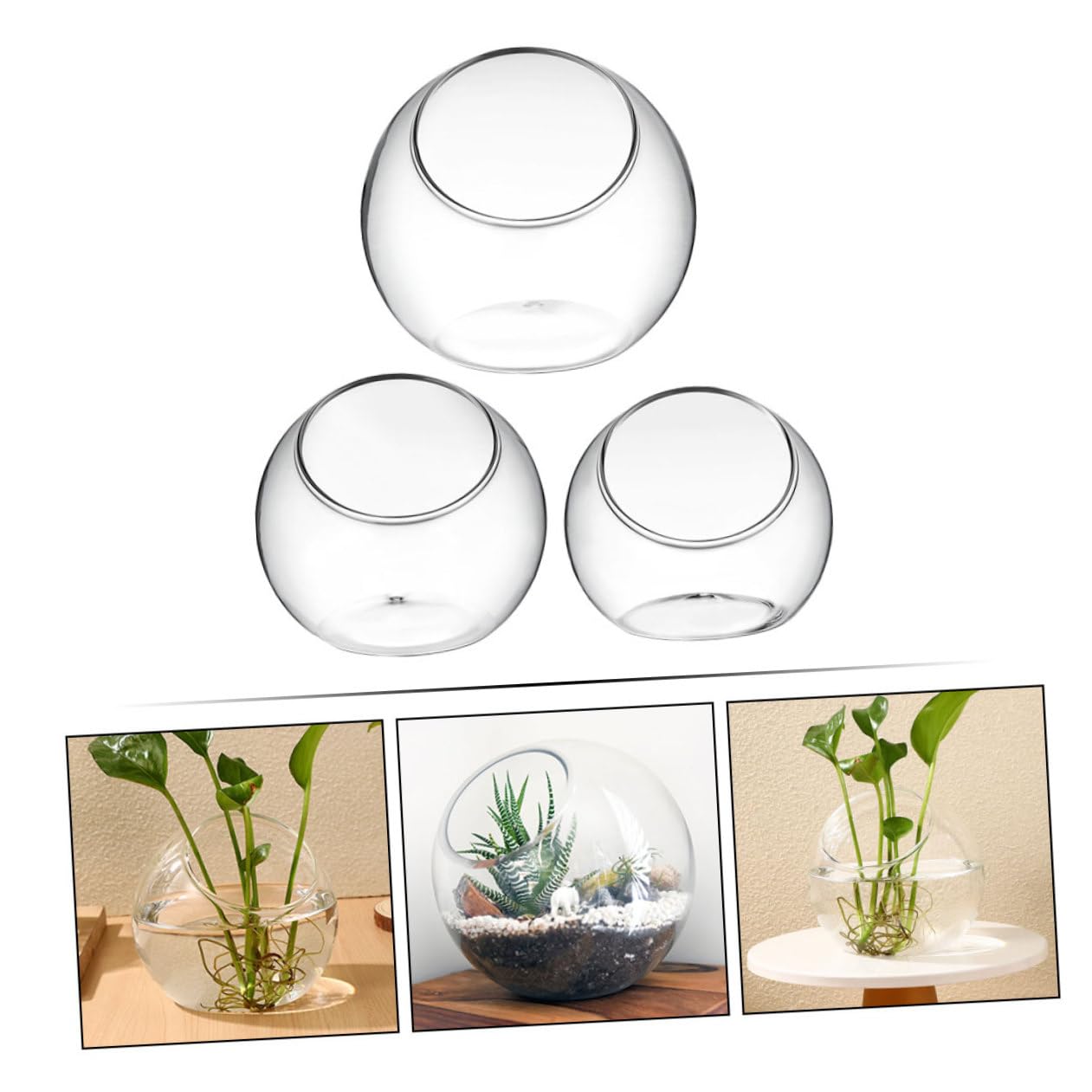 Gatuida Terrario Di Vetro 3 Pezzi Bottiglie Micro Paesaggio Fai Da Te, Contenitori Per Piante Succulente Compatte Per Decorazioni Casa Ufficio Matrimonio