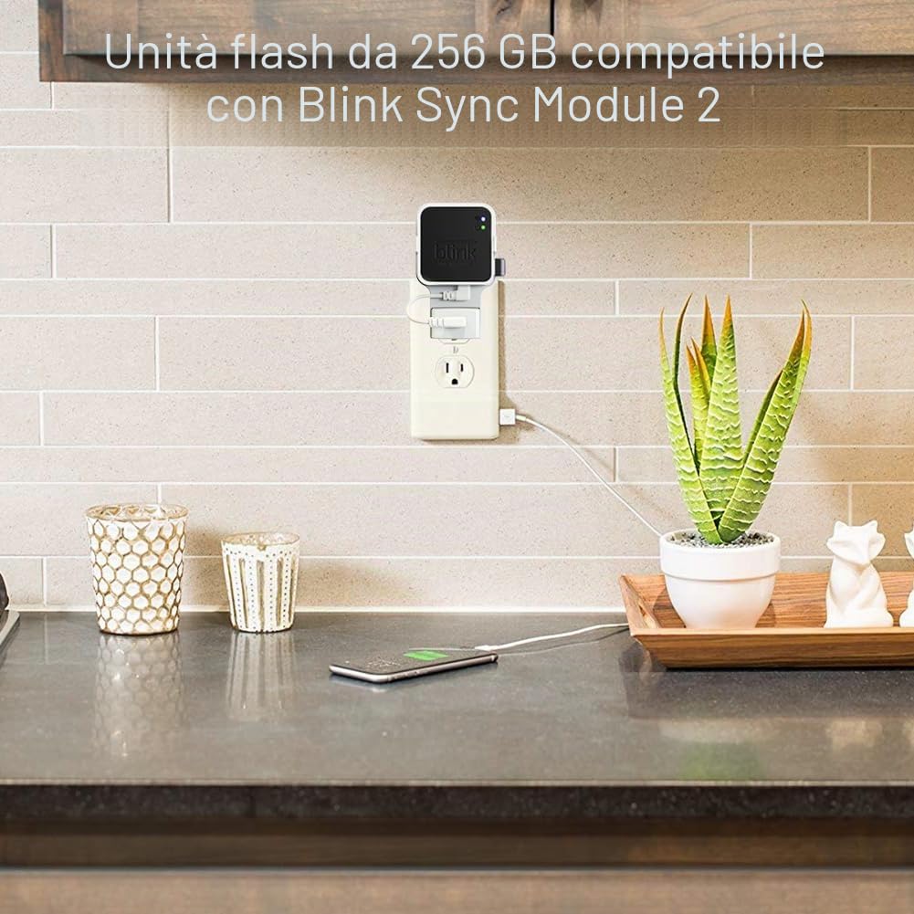 Hibezos Chiavetta USB Blink da 256 GB, compatibile con modulo Blink Sync 2, supporto a parete per risparmiare spazio, archiviazione stabile e sicura