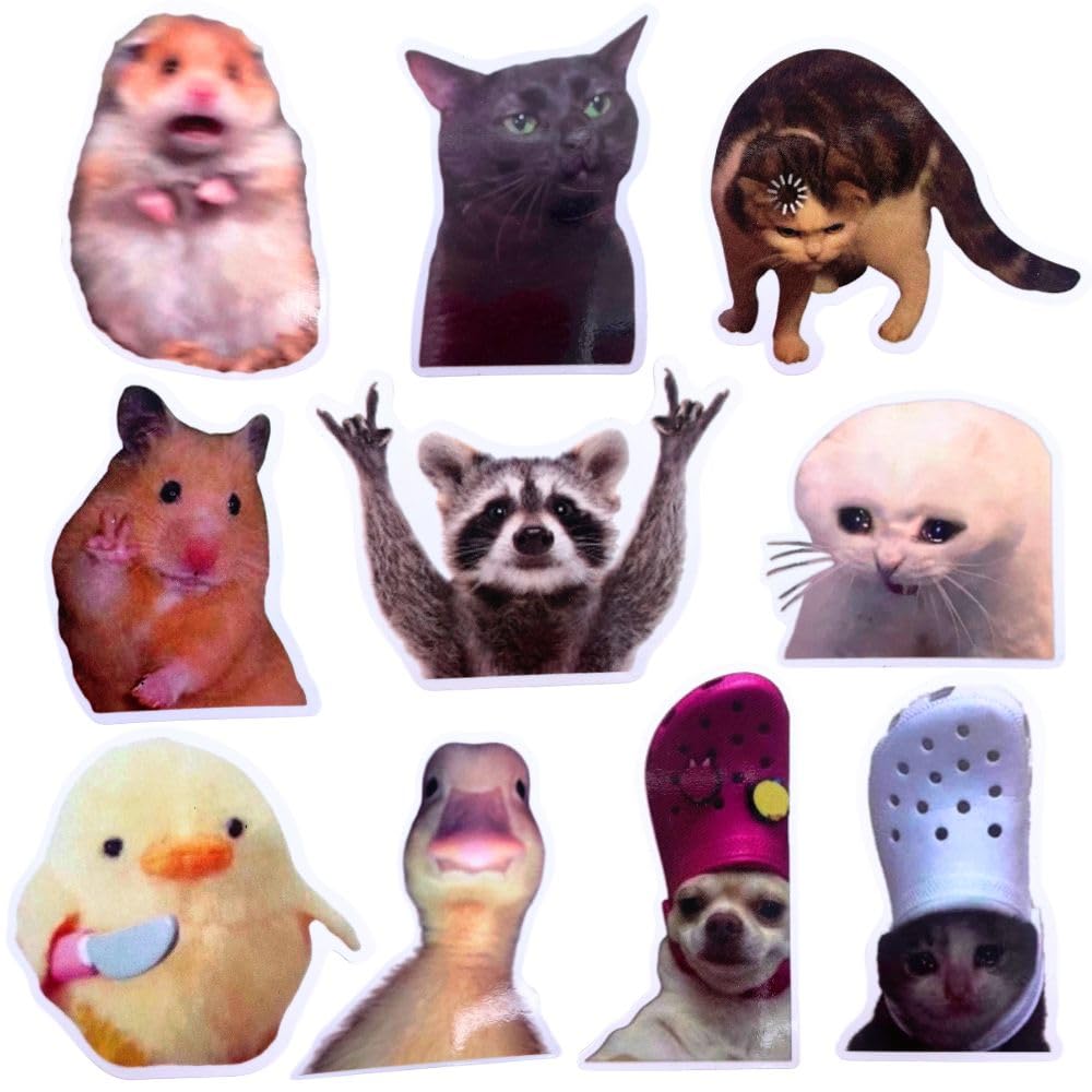 YJ PREMIUMS 12PC Funny Meme Animals Fridge Magnets, Fun Cute Weird Magnetic Crying Cat Dog Hamster Duck Magnets for Gaming Kitchen Home Decor Bumper School Locker Work Boys Girls Adult Accessories