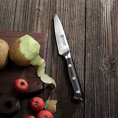 Paudin Paring Knife, 3.5 Inch Damascus Small Kitchen Knife, Japanese Vg-10 Steel 67 Layer Forged, Triple Rivet Micarta Handle, Stain & Corrosion Resistant, Fruit Knife With Gift Box #TOP7
