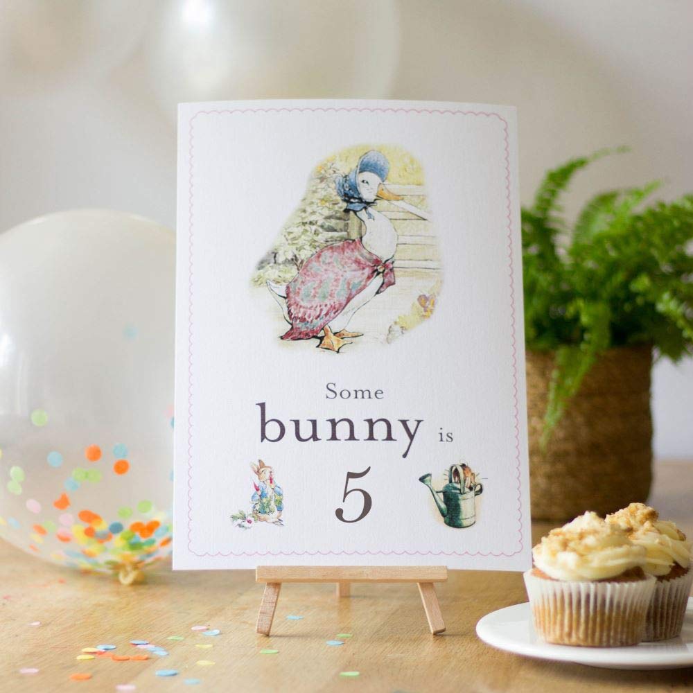 Luck and Luck Jemima Puddleduck Some Bunny is 5 Card Easel Peter Rabbit 5th Birthday