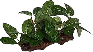 Small Foreground Natural Look Aquarium Plant on Wood Made from Fabric & Resin, Fish Tank, Aquarium & Terrarium Decoration | Resin Branch Drift Wood & Green Plants Fish Tank Decor