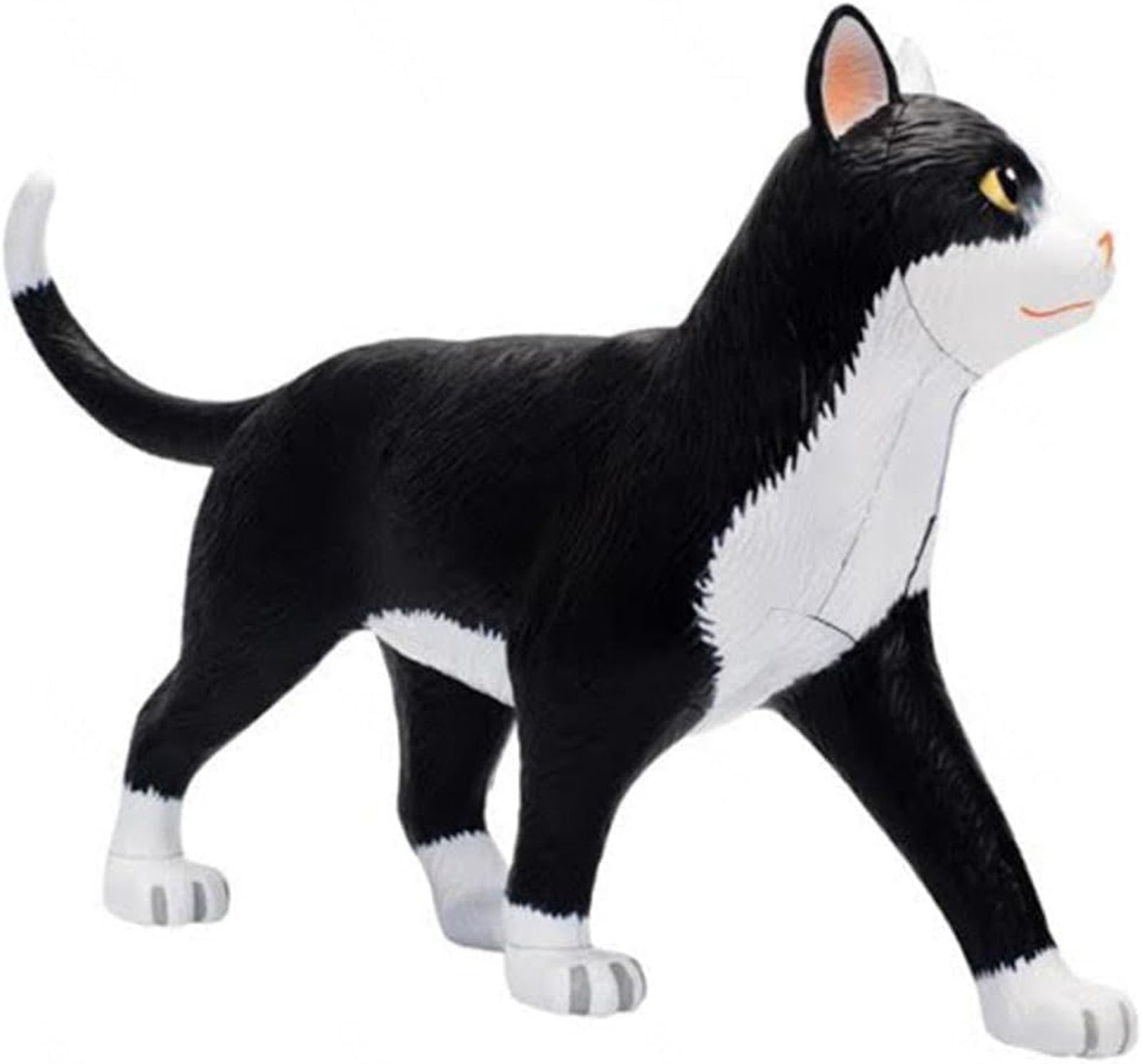 Cat Anatomy Model 4D Vision, 28 organi staccabili per addestramento veterinario e dimostrazioni didattiche, strumento educativo per l'apprendimento dell'anatomia animale