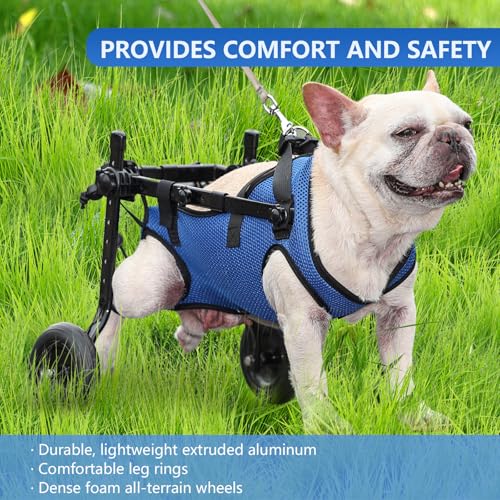 Hunderollstuhl für Hinterbeine, Unterstützt die Heilung, Hundewagen/Rollstuhl für Verletzte, Behinderte, Gelähmte oder an den Hinterbeinen Schwache Haustiere (Blau, M)
