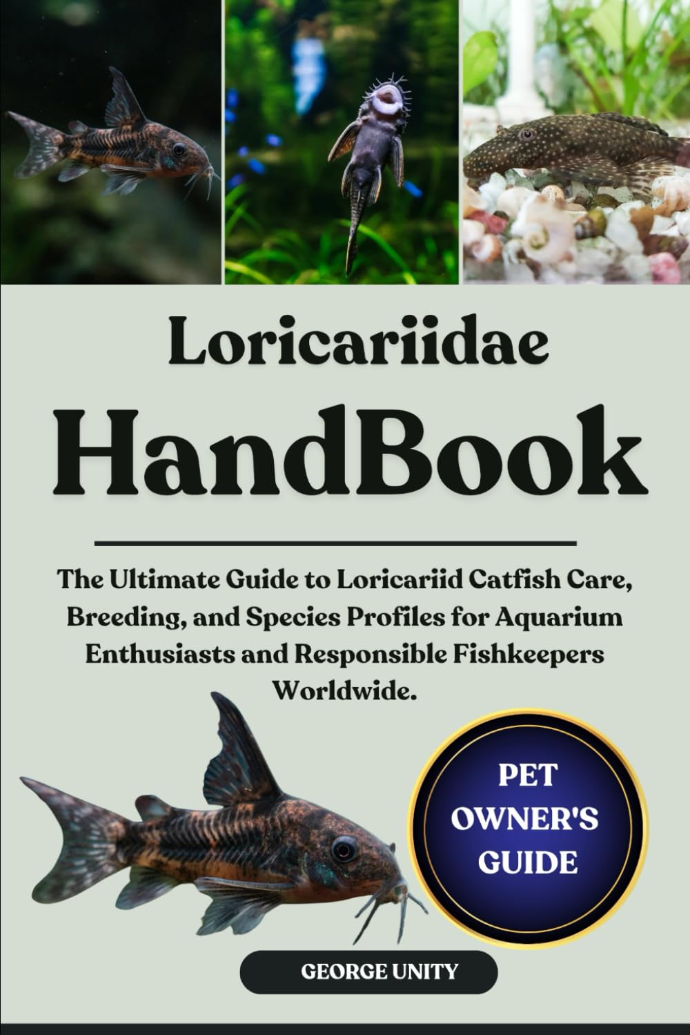 LORICARIIDAE HANDBOOK: The Ultimate Guide to Loricariid Catfish Care, Breeding, and Species Profiles for Aquarium Enthusiasts and Responsible Fishkeepers Worldwide.