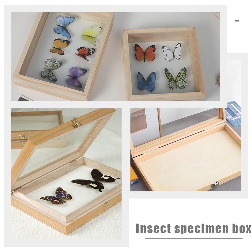 ULTECHNOVO Caja Vitrina De Mariposas Con Tapa Transparente Antipolvo Para Colección De Insectos Y Muestras 15X8.66X2.16 Pulgadas Artesanal