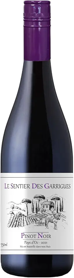 VINHO FRANCÊS TTO PINOT NOIR PLAYS DOC 2021 750ML, LE SENTIER