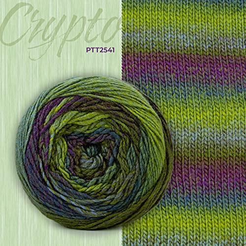 Image of Ganga Acrowools Crypto -100% Acrylic Yarn, Hand Knitting and Crochet Yarn, Pack of 2 Balls - 100Gm Each. Shade No - Ptt2541, Multicolour
