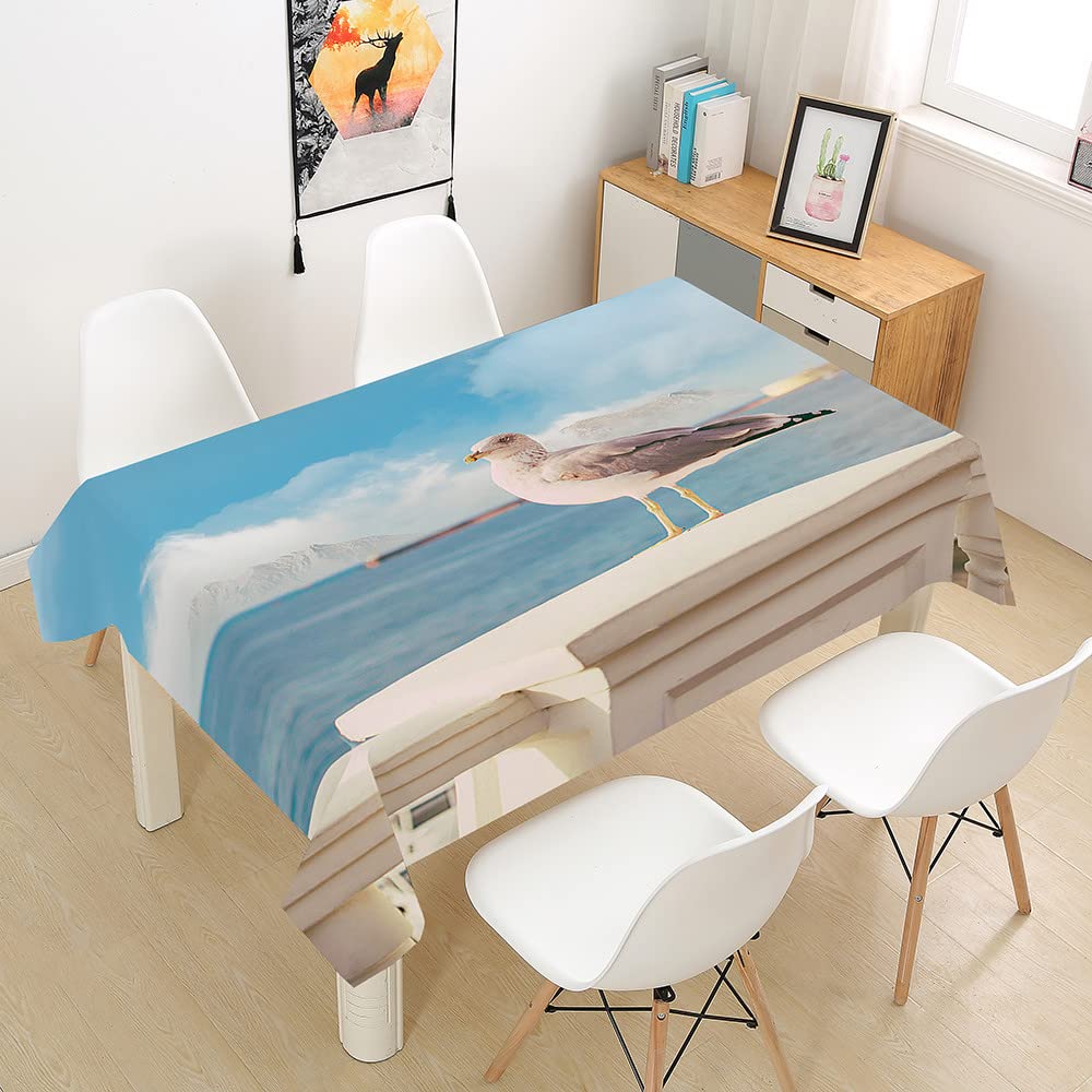 Tovaglia Rettangolare FANSU 140x160cm – Impermeabile, Antimacchia, Con Disegno 3D Gabbiano, Per Cucina E Giardino