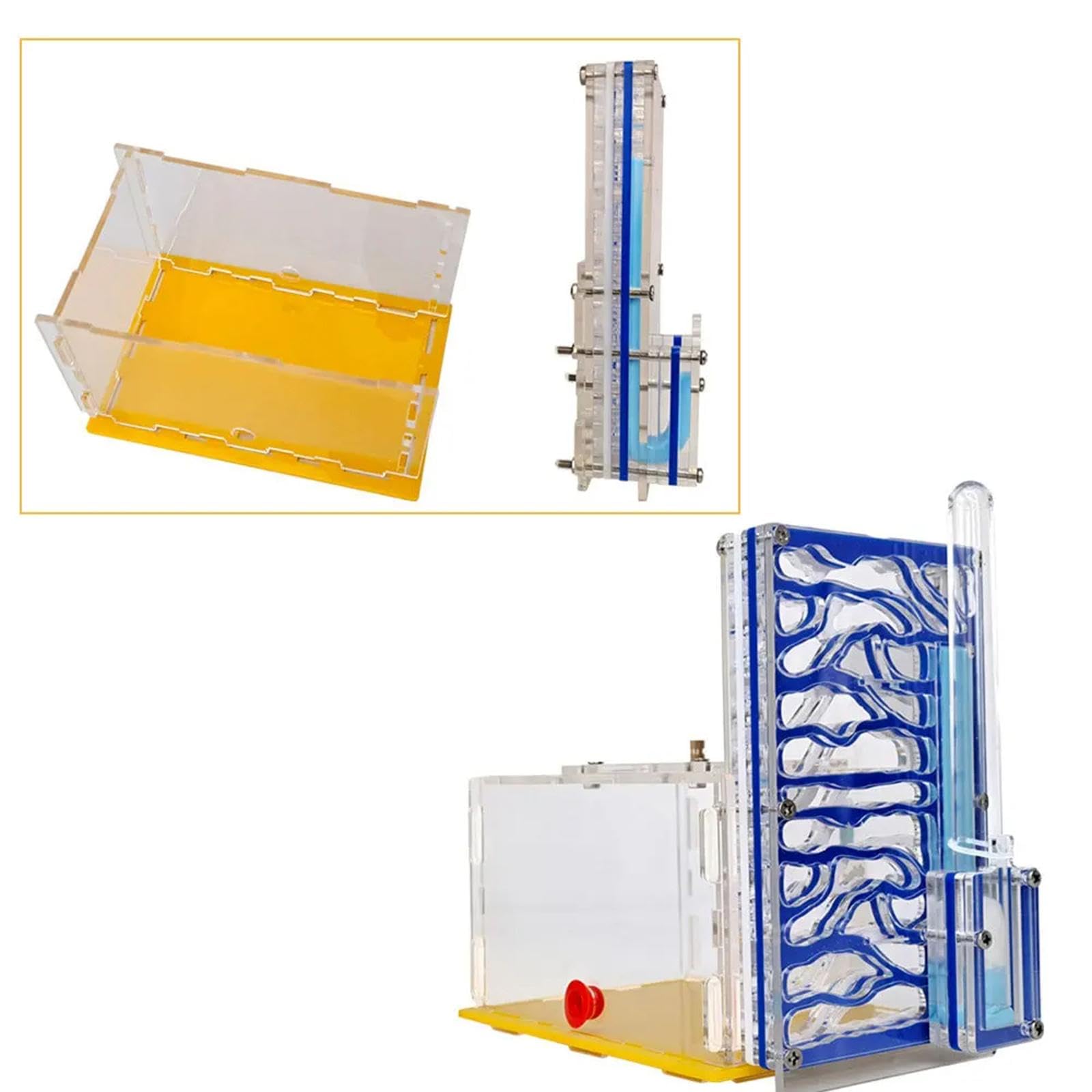 Nido de cría para Hormigas, Nido de Hormigas acrílico, Caja Transparente de Exhibición de Juguetes Educativos, Granja de Hormigas para Amantes, Regalo de Cumpleaños, Azul