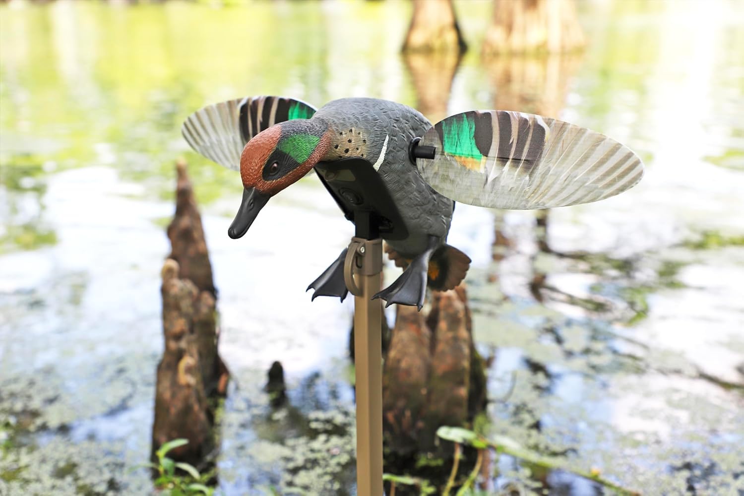 MOJO Elite Series - Señuelo de pato - Señuelo fácil de usar - Equipo de caza de patos y accesorios