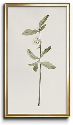 Miniatura 34 de Renditions Gallery Feeling Wild II - Impresiones botánicas modernas para decoración de pared, 16 x 28 pulgadas, marco dorado, arte de pared floral