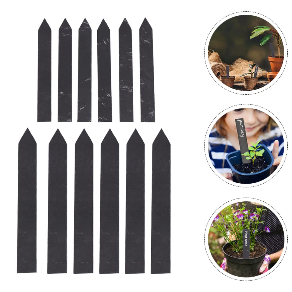 12 Pcs Ardoise Plante étiquette de Jardin Plantes étiquettes de Pépinière de Pépinière étiquettes D' étiquettes pour Plantes de Pots de Pots Etiquette Ardoise Jardin