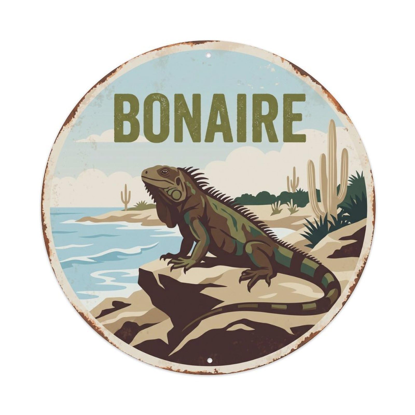Yrnq 8X8inch Vintage Style Bonaire Iguana Rocky Coastline Metal Tin Sign