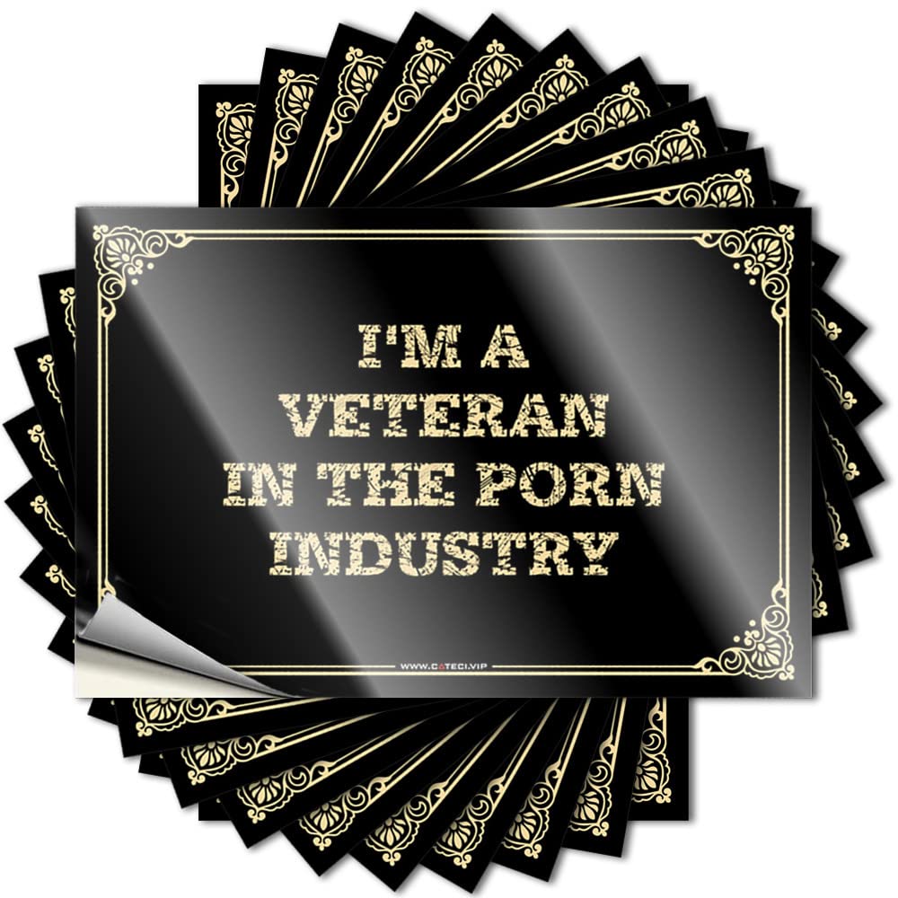 Tattoo Glitter Stuff Case I'm A Veteran in The Porn Industry - No Residue Decals for Racing(8X12CM)