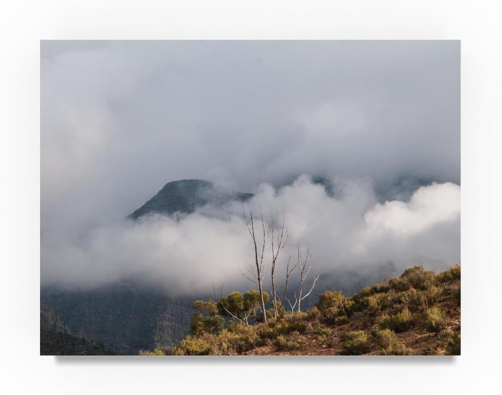 Nature Preserve South Africa by Thom Sivo, 14x19-Inch Canvas Wall Art