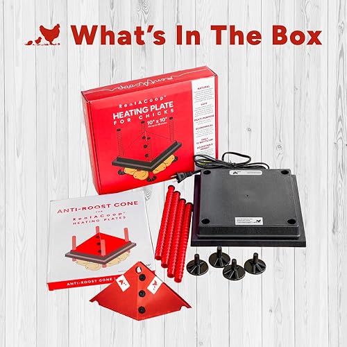 Miniatura 6 de RentACoop Placa de calefacción ajustable de 10 x 10 pulgadas con cono antivuelco plegable adicional para hasta 15 pollitos  Placa de calor pequeña