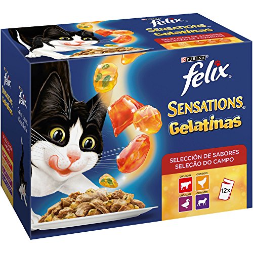 Felix Purina Sensations Comida Húmeda para Gato Adulto Pack Surtido Carnes, 12 Sobres de 85g