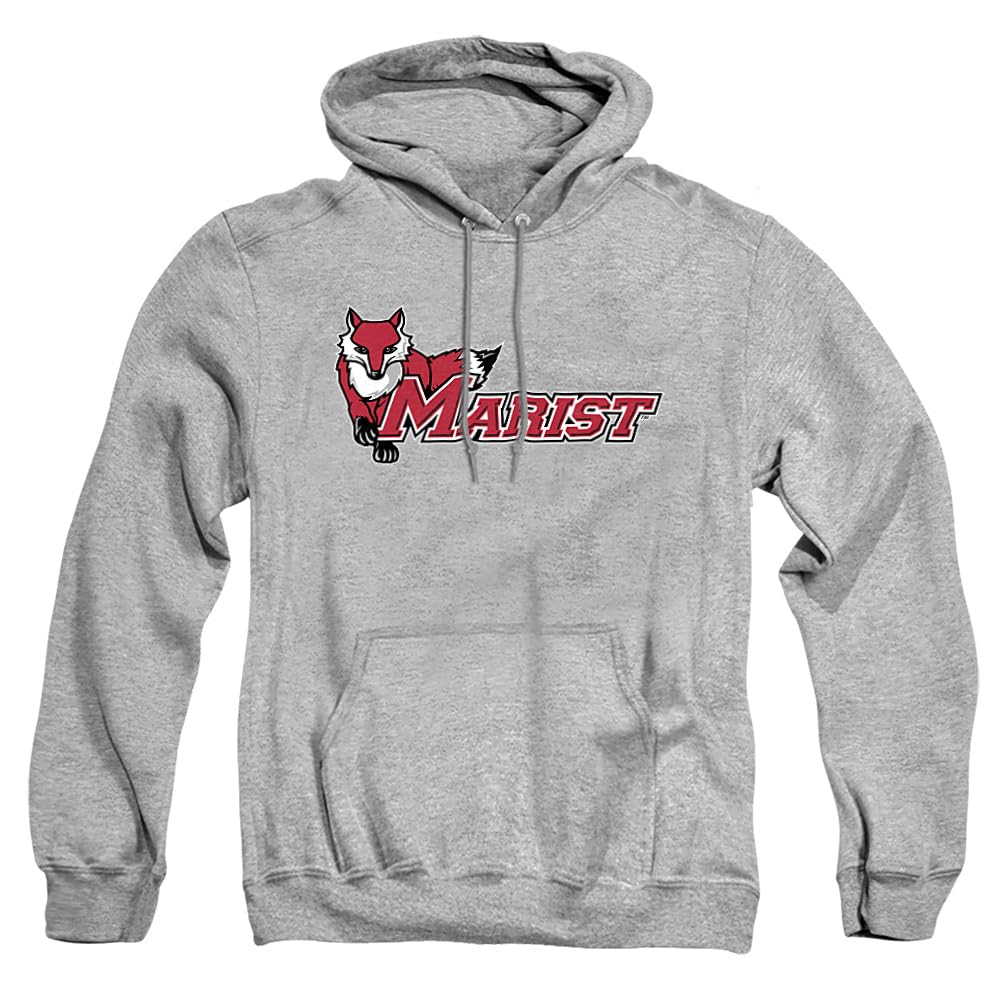 LOGOVISION Official Collegiate Distressed Primary Logo Adult Pullover Hoodie Collection — view 256