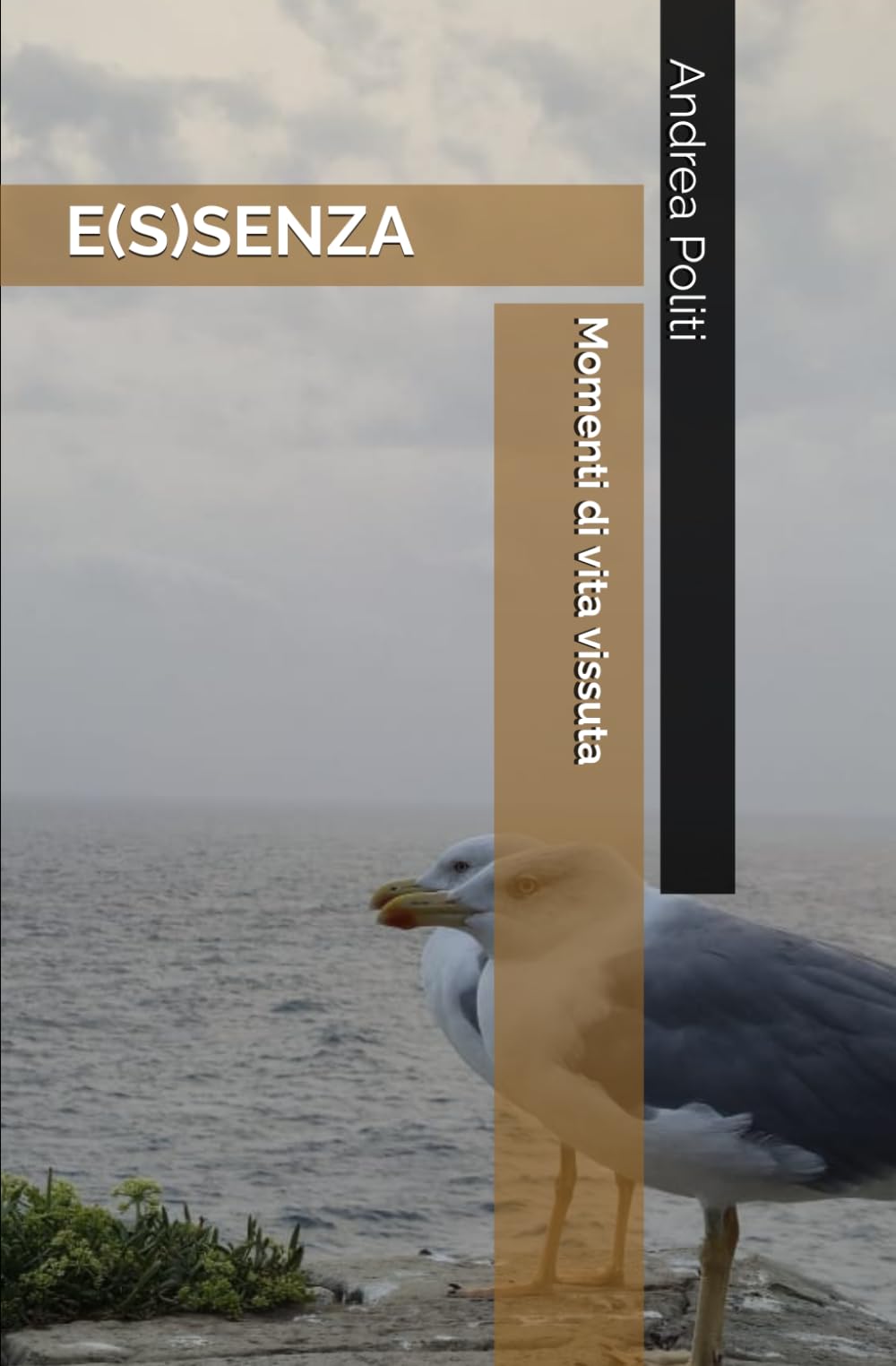 E(S)SENZA: Momenti di vita vissuta