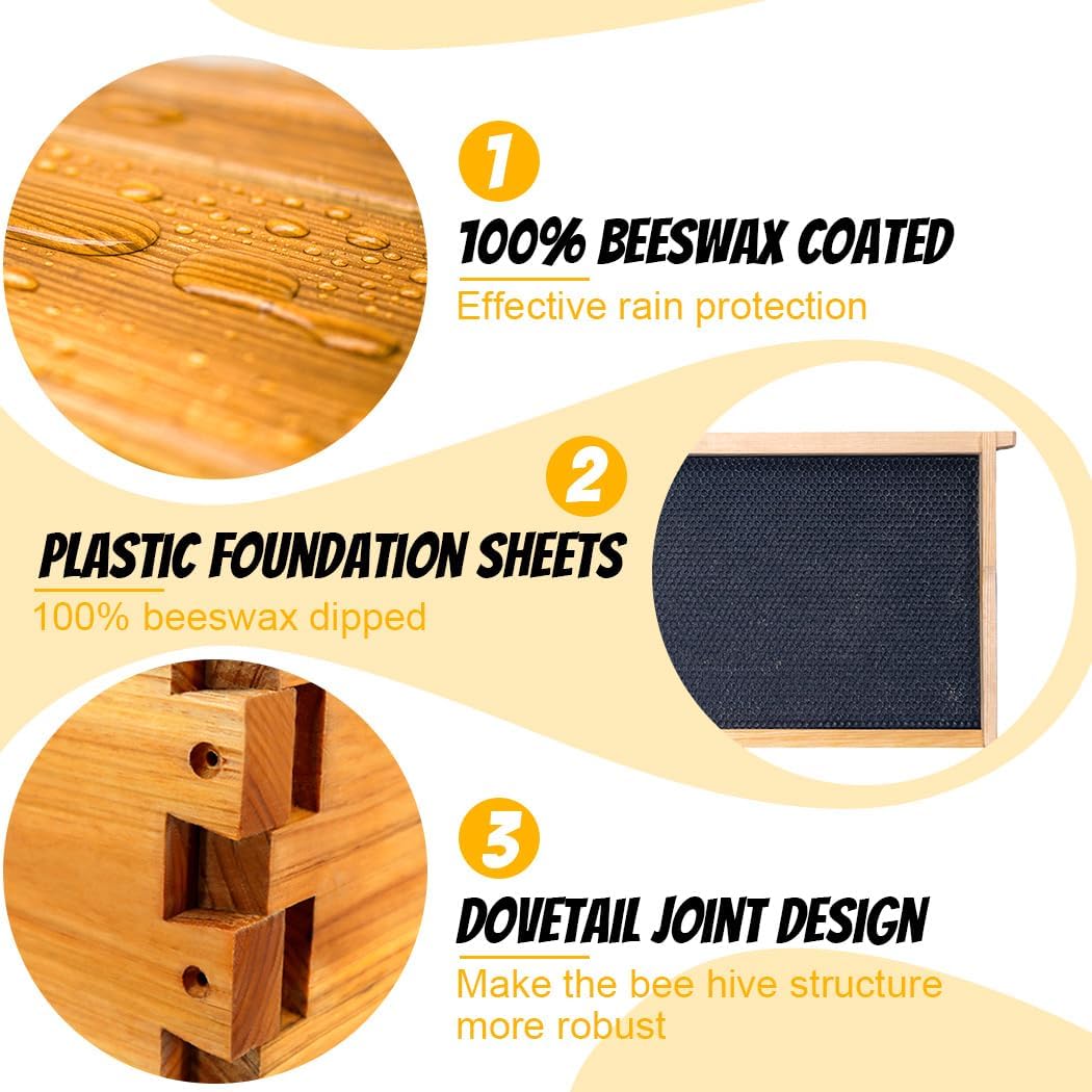 Honey Lake Bee Hive with Windows, 10 Frame Langstroth Complete Beehive Starter Kit Dipped in Beeswax with Beehive Frames and Waxed Foundations (2 Deep Brood Bee Hive Box & 1 Medium Super Bee Box) - Image 3