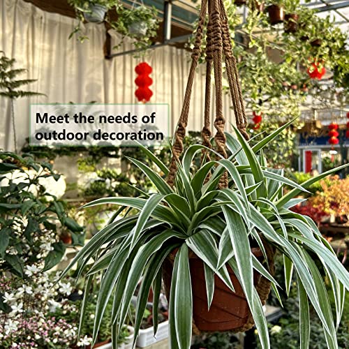 Camutkry Macrame Plant Hanger 23 Inch 2 Pack Indoor For 4 To 6 Inch Plant Pots Brown Holder No Tassels Boho Home Decor #TOP5
