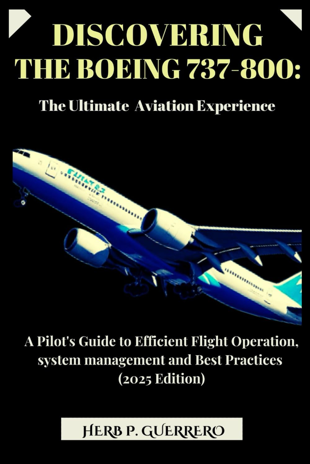 DISCOVERING THE BOEING 737-800: THE ULTIMATE AVIATION EXPERIENCE: A Pilot's Guide to Efficient Flight Operation, system management and Best Practices (2025 Edition)