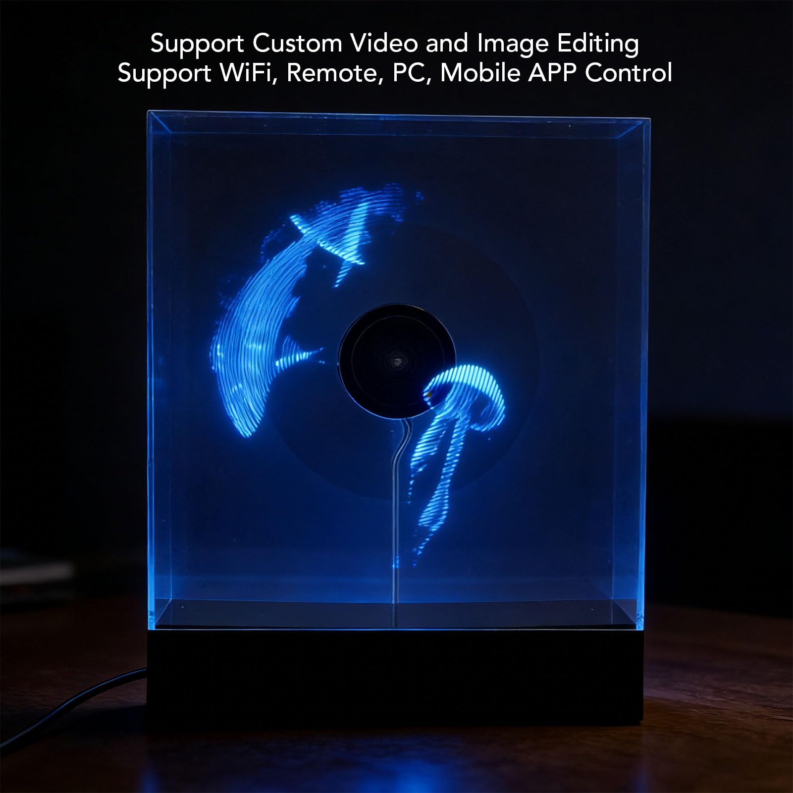 Proiettore Ologramma 3D da 18 Cm, Ventola per Display Pubblicitario Olografico WiFi con 80 LED Risoluzione 298x298, Editing Video Personalizzato con Controllo Software, per