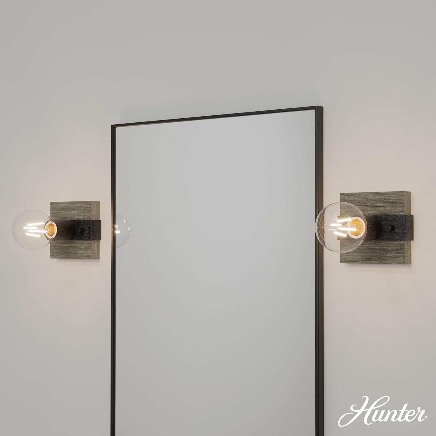 Hunter Fan Company 13050 Donelson Wall Sconce, Small, Brushed Iron