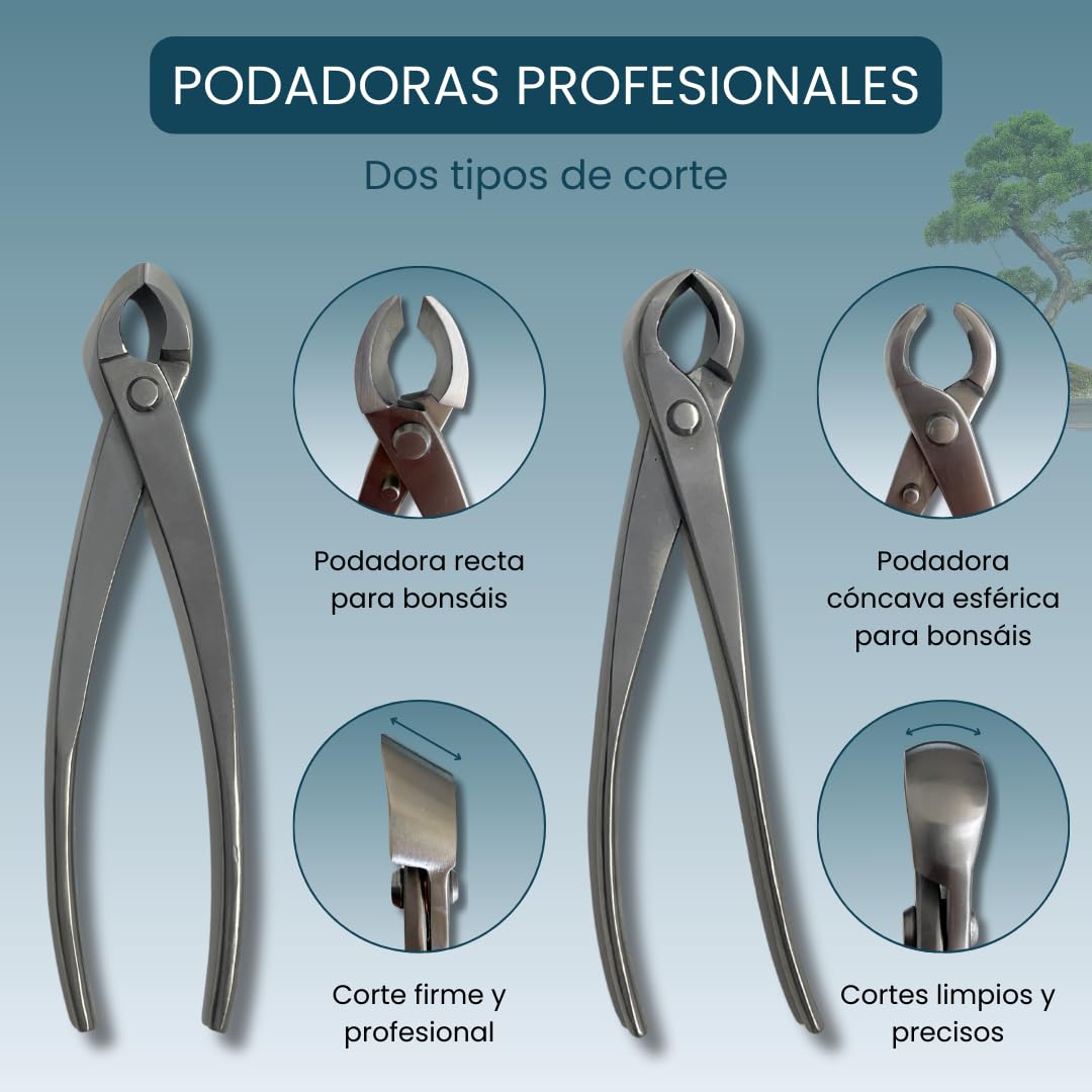 Kit Herramientas Bonsái Profesional – Estuche Para Mantenimiento de Bonsais con Tijeras, Podadora Cóncava y Podadora Recta Esenciales para el cuidado