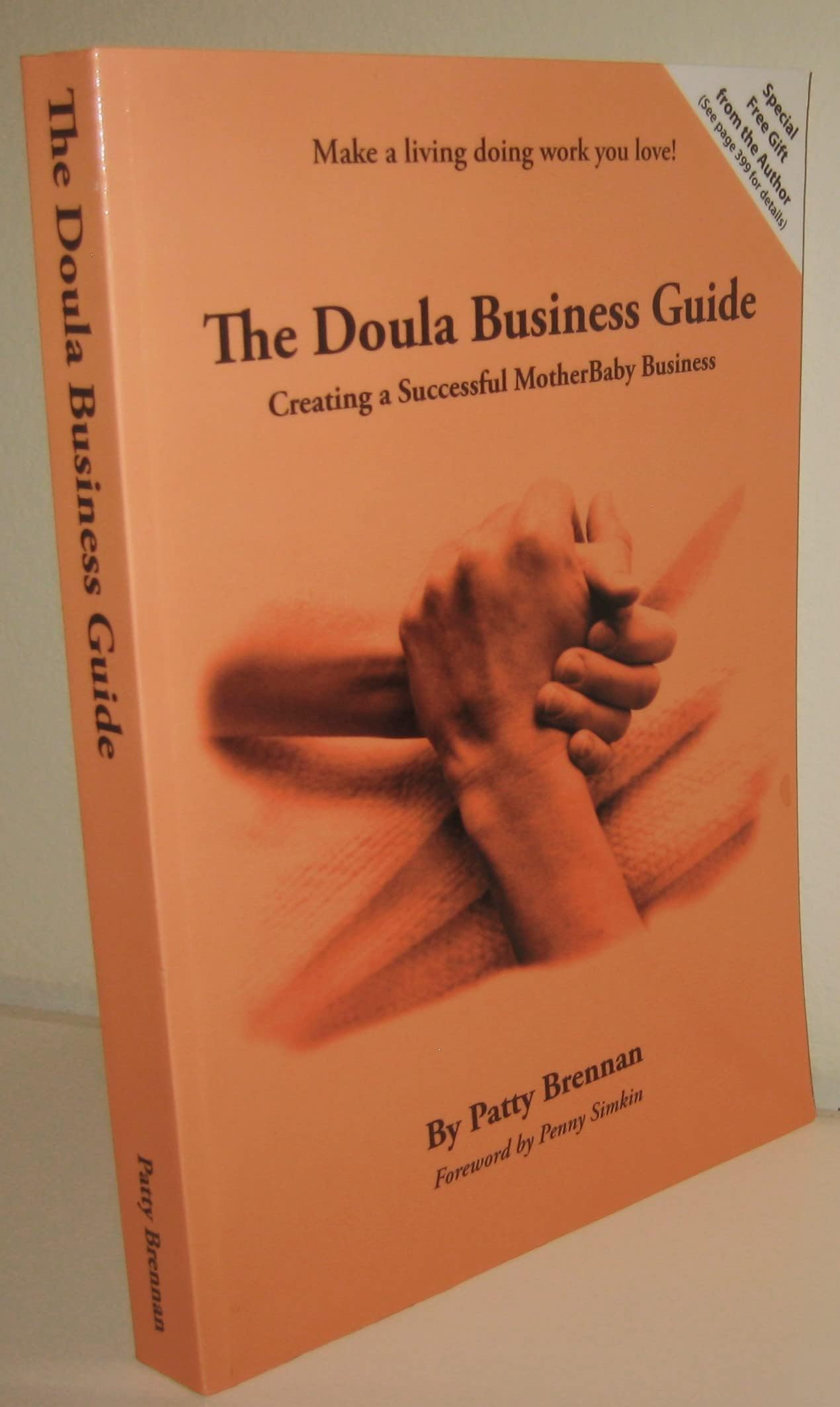 The Doula Business Guide: Creating a Successful Motherbaby Business Paperback – 20 Sept. 2010